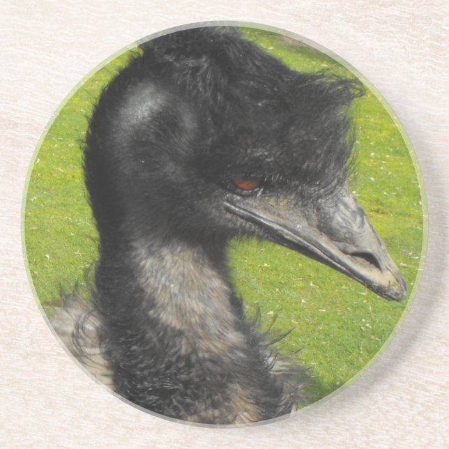Posavasos De Arenisca Práctico de costa del Emu (Frente)