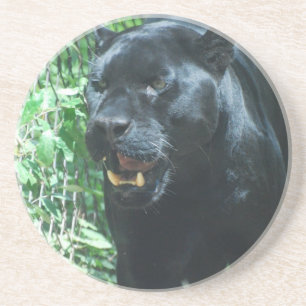 Posavasos De Arenisca Práctico de costa del gato de pantera negra