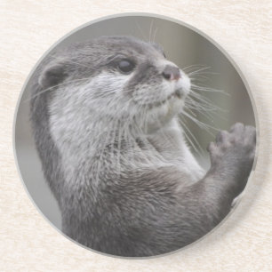 Posavasos De Arenisca Práctico de costa del genio de la nutria