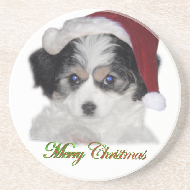 Posavasos De Arenisca Práctico de costa del jersey de Santa (Frente)