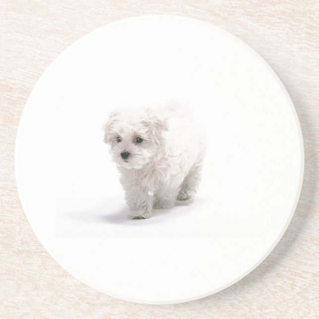Posavasos De Arenisca Práctico de costa del perro de Bichon Frise (Frente)