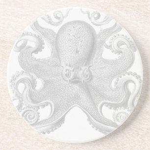 Posavasos De Arenisca Práctico de costa del pulpo de Haeckel