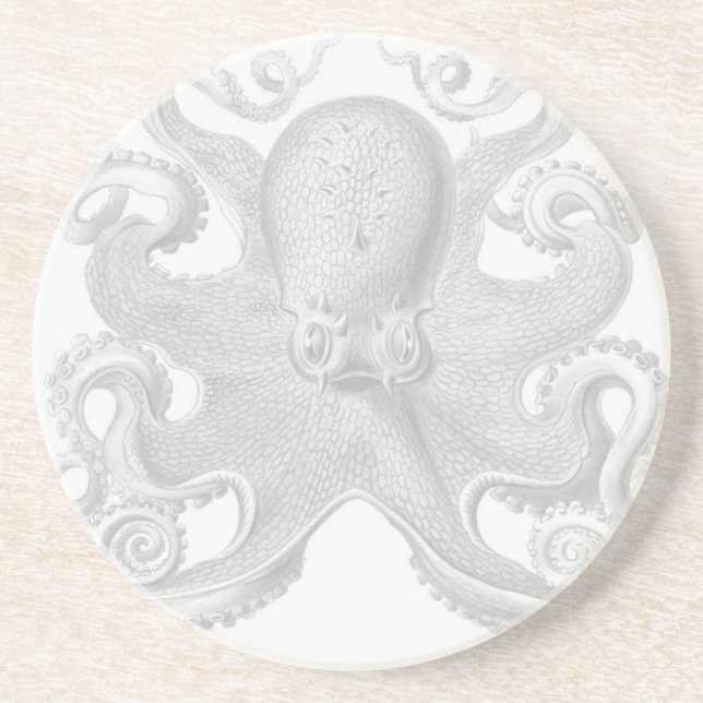 Posavasos De Arenisca Práctico de costa del pulpo de Haeckel (Frente)