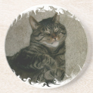 Posavasos De Arenisca Práctico de costa durmiente del gato del gatito