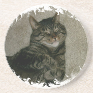 Posavasos De Arenisca Práctico de costa durmiente del gato del gatito