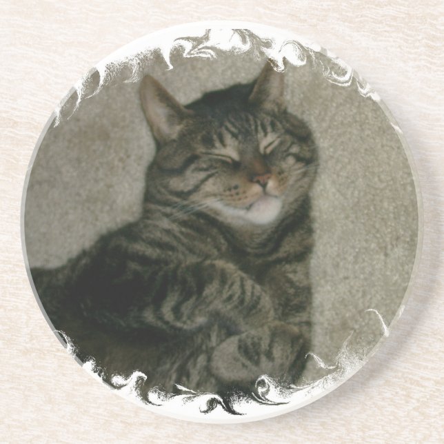 Posavasos De Arenisca Práctico de costa durmiente del gato del gatito (Frente)