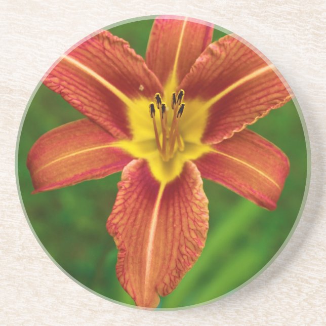 Posavasos De Arenisca Práctico de costa floral de la bebida (Frente)