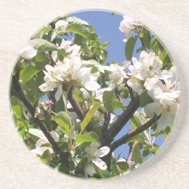 Posavasos De Arenisca Práctico de costa floral floreciente de las ramas (Frente)