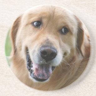 Posavasos De Arenisca Práctico de costa lindo del golden retriever