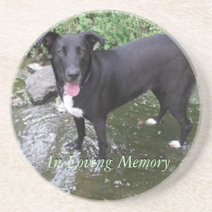 Posavasos De Arenisca práctico de costa personalizado personalizar de l