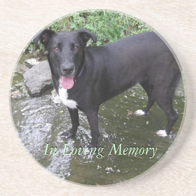 Posavasos De Arenisca práctico de costa personalizado personalizar de la (Frente)