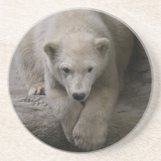 Posavasos De Arenisca práctico de costa polar