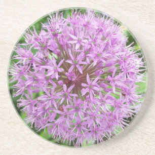 Posavasos De Arenisca Práctico de costa púrpura del allium