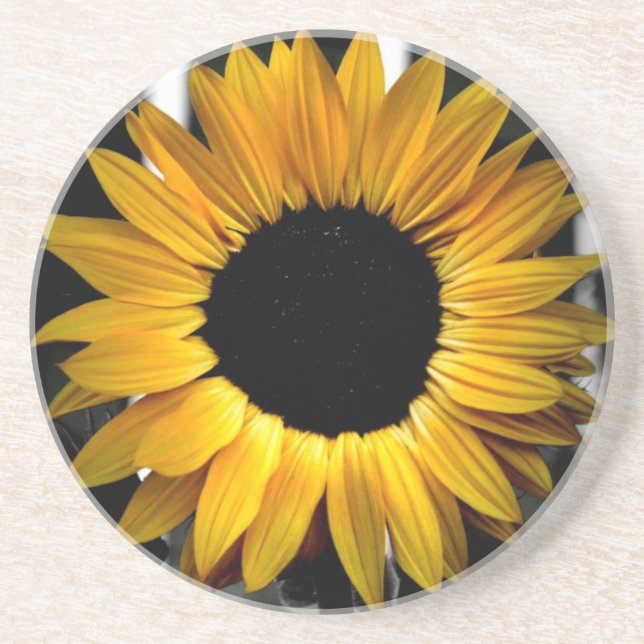 Posavasos De Arenisca Práctico de costa soleado (Frente)
