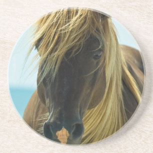 Posavasos De Arenisca Prácticos de costa del caballo del mustango