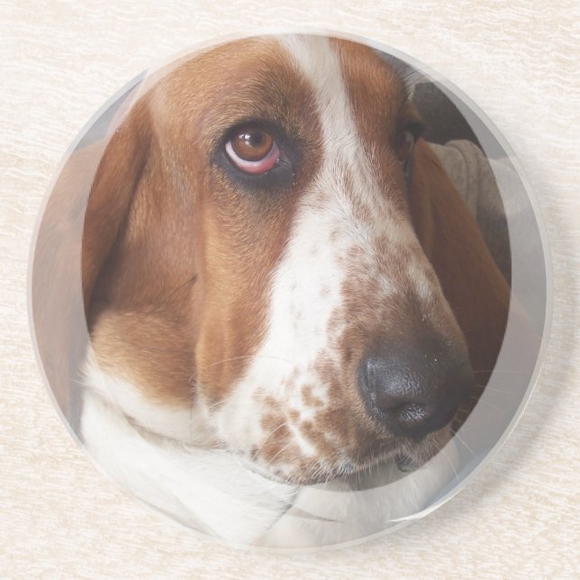 Posavasos De Arenisca Prácticos de costa del perro de Basset Hound (Frente)