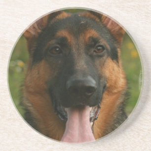 Posavasos De Arenisca Prácticos de costa del perro de pastor alemán