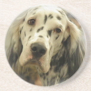 Posavasos De Arenisca Prácticos de costa del perro del organismo inglé