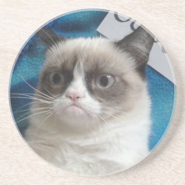 Posavasos De Arenisca Prácticos de costa gruñones del gato (Frente)