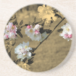 Posavasos De Arenisca Primavera Florece Sepia Floral
