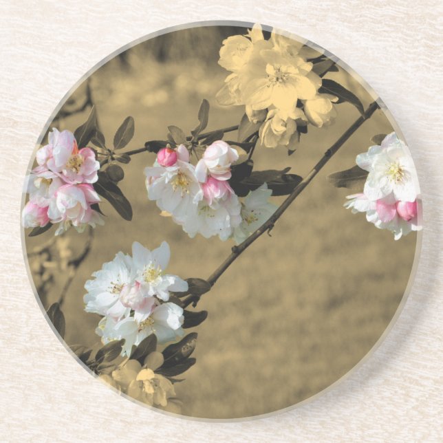 Posavasos De Arenisca Primavera Florece Sepia Floral (Frente)