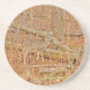 Posavasos De Arenisca Primer invierno de Baby Deer