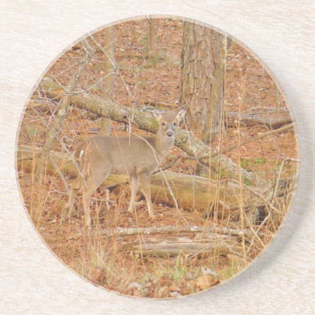 Posavasos De Arenisca Primer invierno de Baby Deer (Frente)