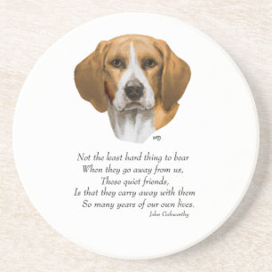 Posavasos De Arenisca Puente arcoíris Beagle