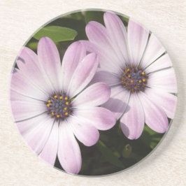 Posavasos De Arenisca Purple Daisies