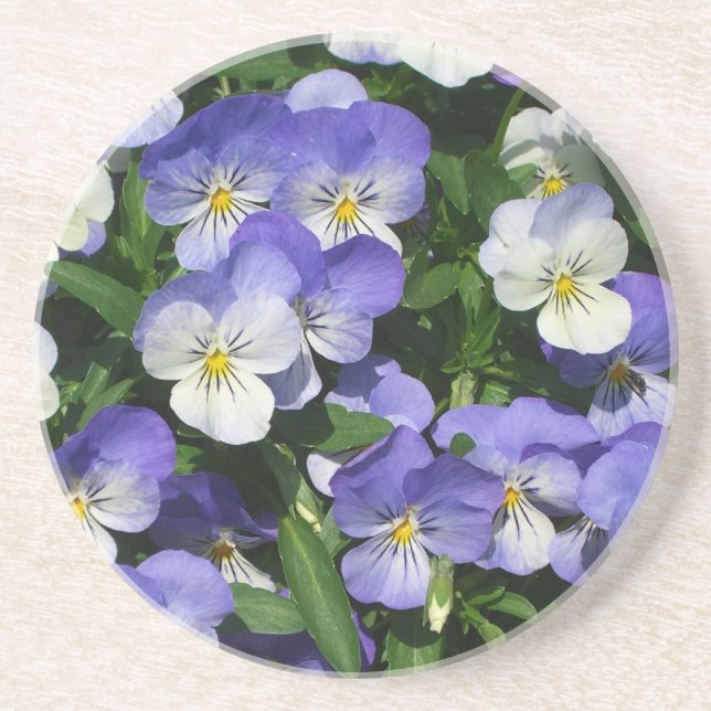 Posavasos De Arenisca Purple Pansies Garden Floral (Frente)
