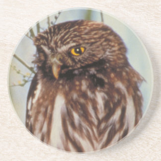 Posavasos De Arenisca Pygmy Owl
