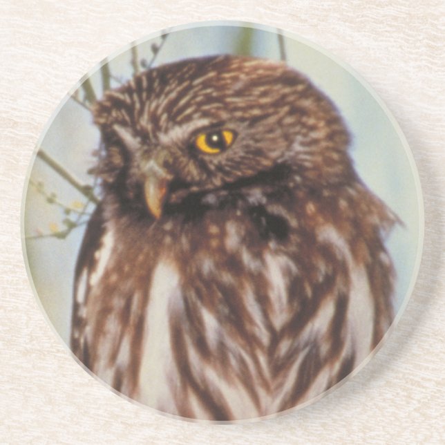 Posavasos De Arenisca Pygmy Owl (Frente)