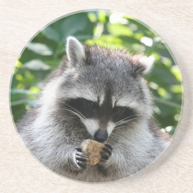 Posavasos De Arenisca Raccoon 004 (Frente)