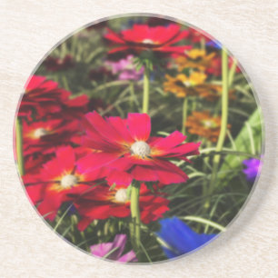 Posavasos De Arenisca Radiador de primavera irista