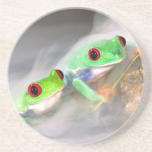 Posavasos De Arenisca Rana de ojos rojos en la niebla, Agalychinis 2