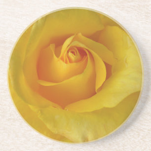 Posavasos De Arenisca Recuerdo color de rosa soleado DEC de los regalos