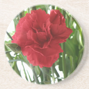 Posavasos De Arenisca Red Carnation Coasters