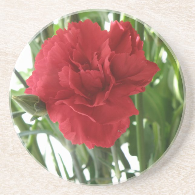 Posavasos De Arenisca Red Carnation Coasters (Frente)