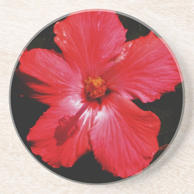 Posavasos De Arenisca Red Hibiscus (Frente)