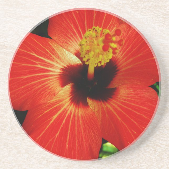 Posavasos De Arenisca Red Hibiscus (Frente)
