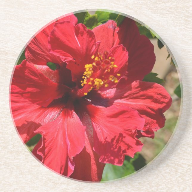Posavasos De Arenisca Red Hibiscus Sandstone Coaster (Frente)