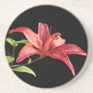 Posavasos De Arenisca Red Lily Sandstone