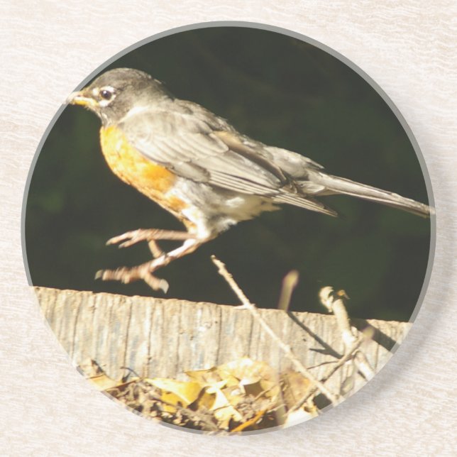 Posavasos De Arenisca Red Robin Bobbin (Frente)