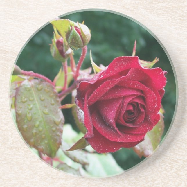 Posavasos De Arenisca Red Rose Sandstone Coaster (Frente)