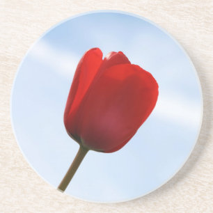 Posavasos De Arenisca Red Tulip Coaster