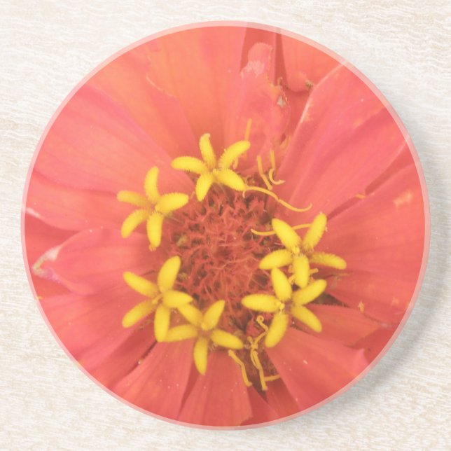 Posavasos De Arenisca Red Zinnia Macro Coasters (Frente)