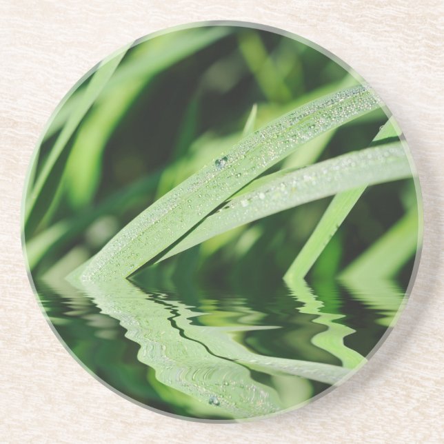 Posavasos De Arenisca reflexiones de pasto (Frente)