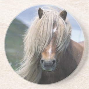 Posavasos De Arenisca Reino Unido, Escocia, Islas Shetland, pony de Shet