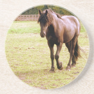 Posavasos De Arenisca Relajado paseo de caballos marrones