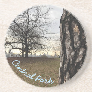 Posavasos De Arenisca Reserva Central Park New York City Sunrise NYC